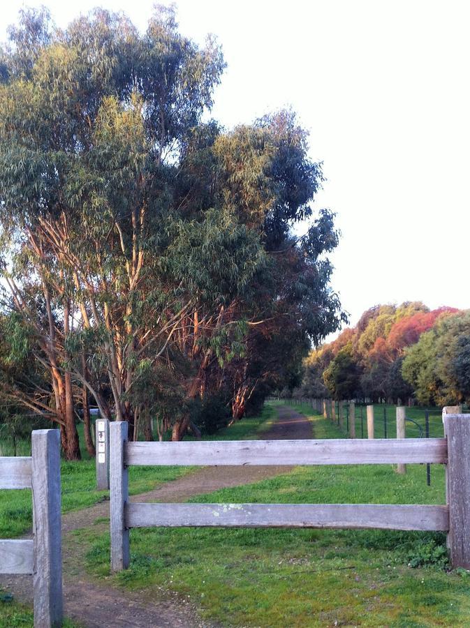 The Estate Koroit Boutique Hotel Eksteriør bilde